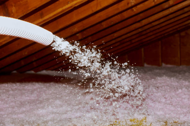Types of Insulation We Offer in Golden Meadow, LA