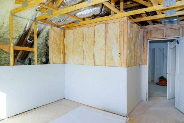 Best Cellulose Insulation in Golden Meadow, LA