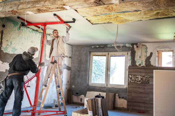 Best Eco-Friendly Insulation in Golden Meadow, LA