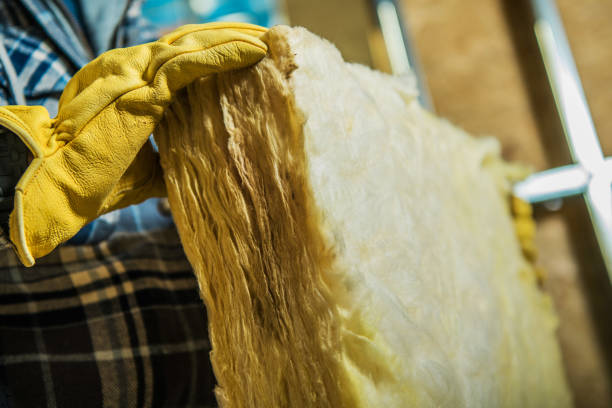 Trusted Golden Meadow, LA Insulation Contractor Experts