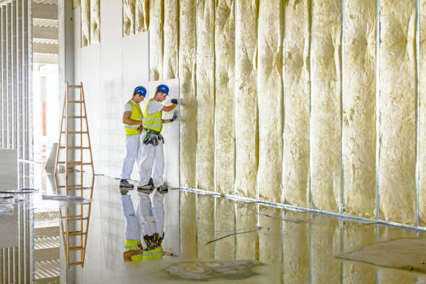 Best Eco-Friendly Insulation in Golden Meadow, LA
